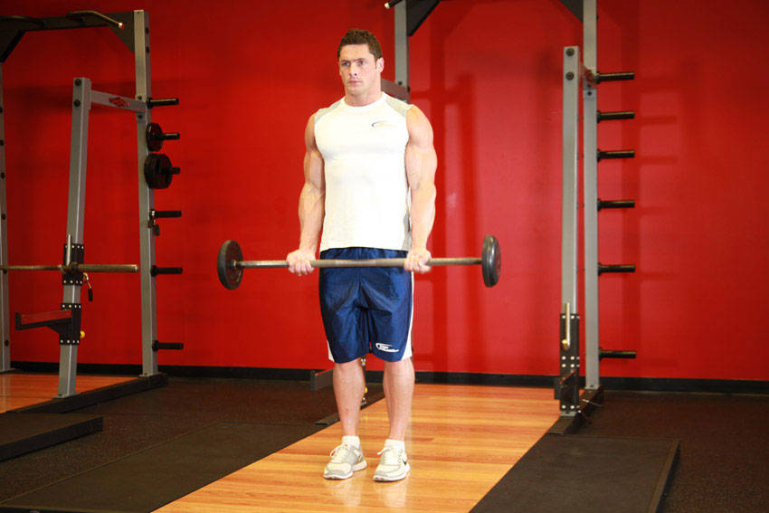 Bicep Curl (Barra/Polea)