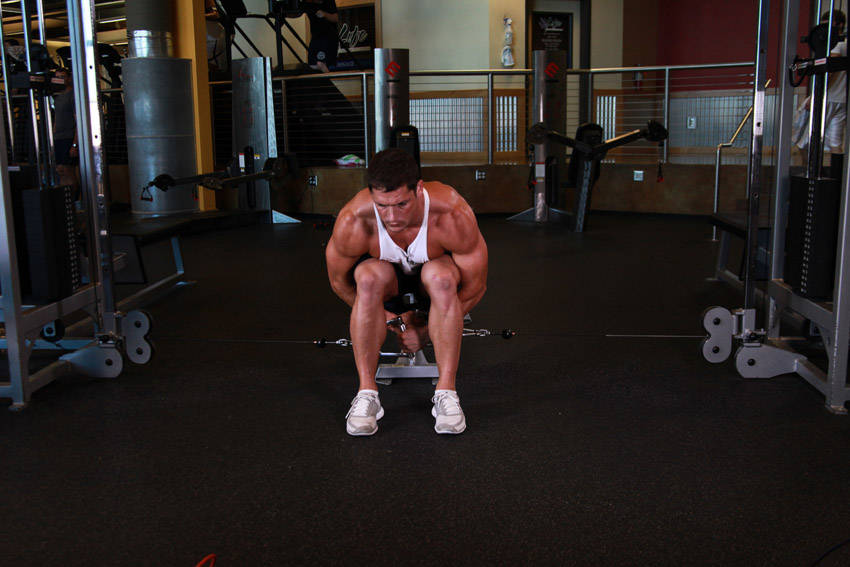 Lateral Raise (Polea)
