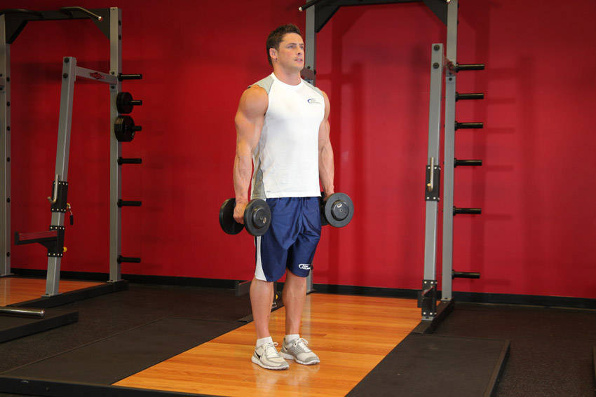 Hammer Curl (Mancuerna)