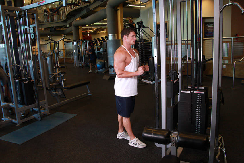 Triceps Pushdown (Polea)